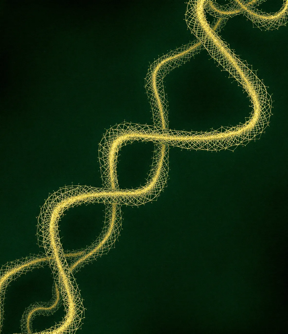 Engraving-style illustration of an abstract folded peptide chain on a dark emerald ground